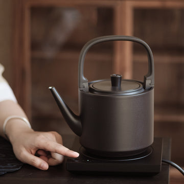 Constant Temperature Electric Kettle 550ml